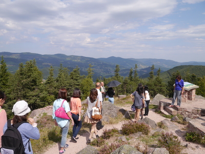 アルザス欧州日本学研究所