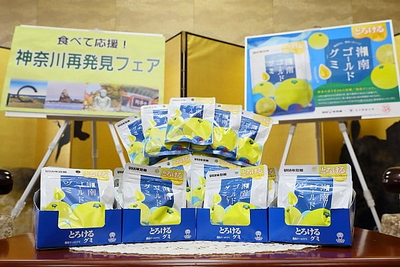 とろけるグミ 湘南ゴールドグミ（写真提供：神奈川県）
