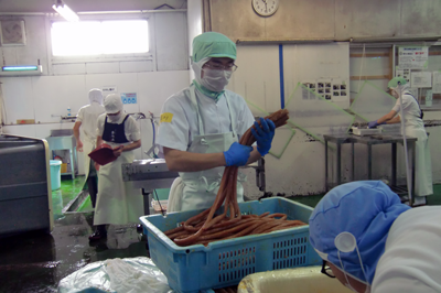 名古屋経済大学・インターンの様子 名古屋経済大学・インターンの様子