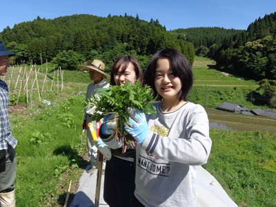 産地から始まる商品開発