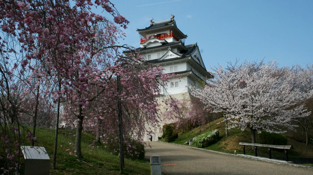 大阪青山歴史文学博物館