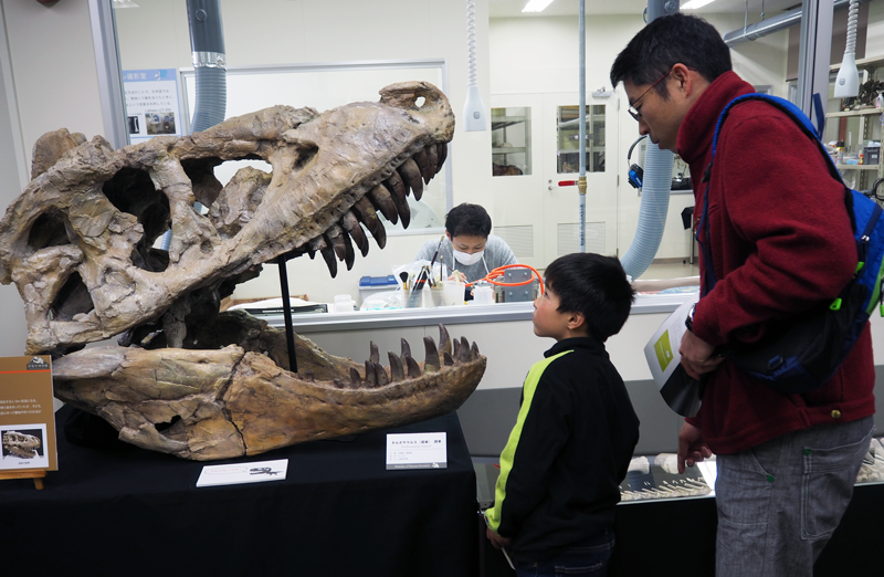 恐竜博物館のメイン展示