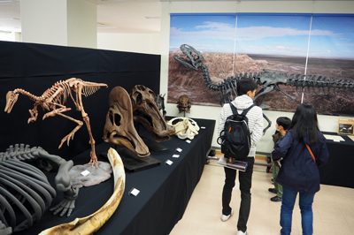 恐竜博物館のサテライト展示