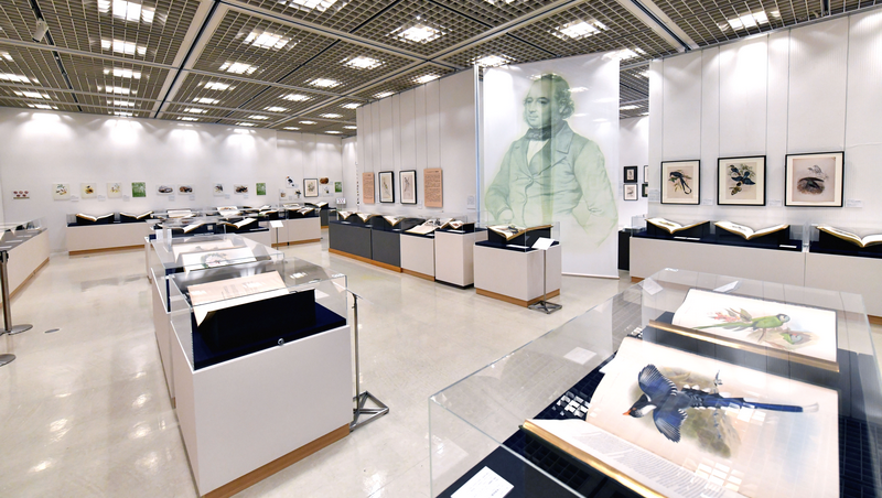2019年の特別展での展示風景